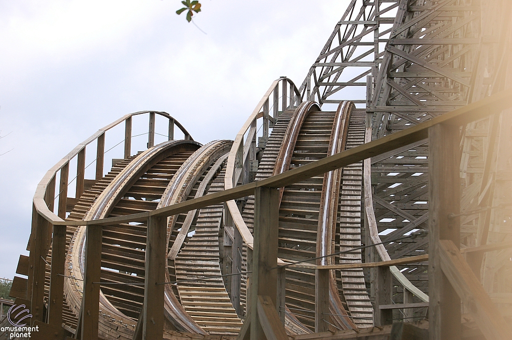 Gwazi