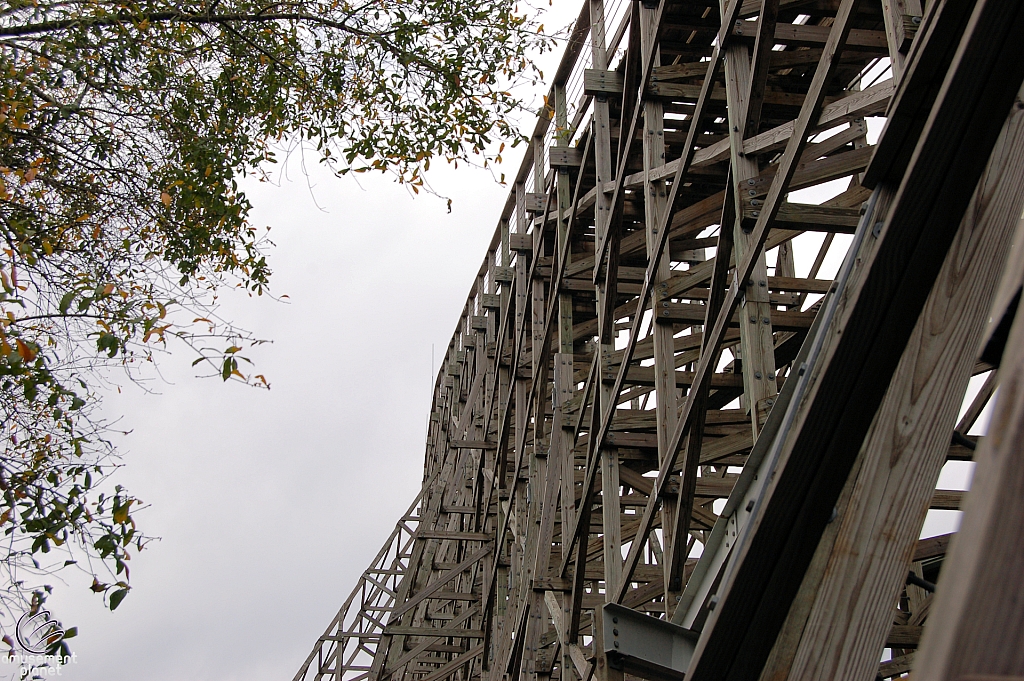 Gwazi