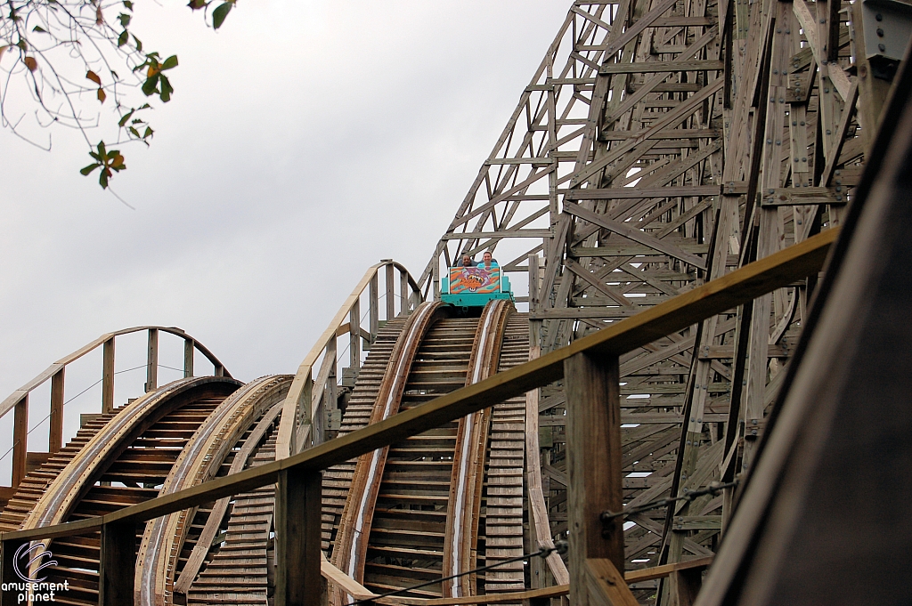 Gwazi