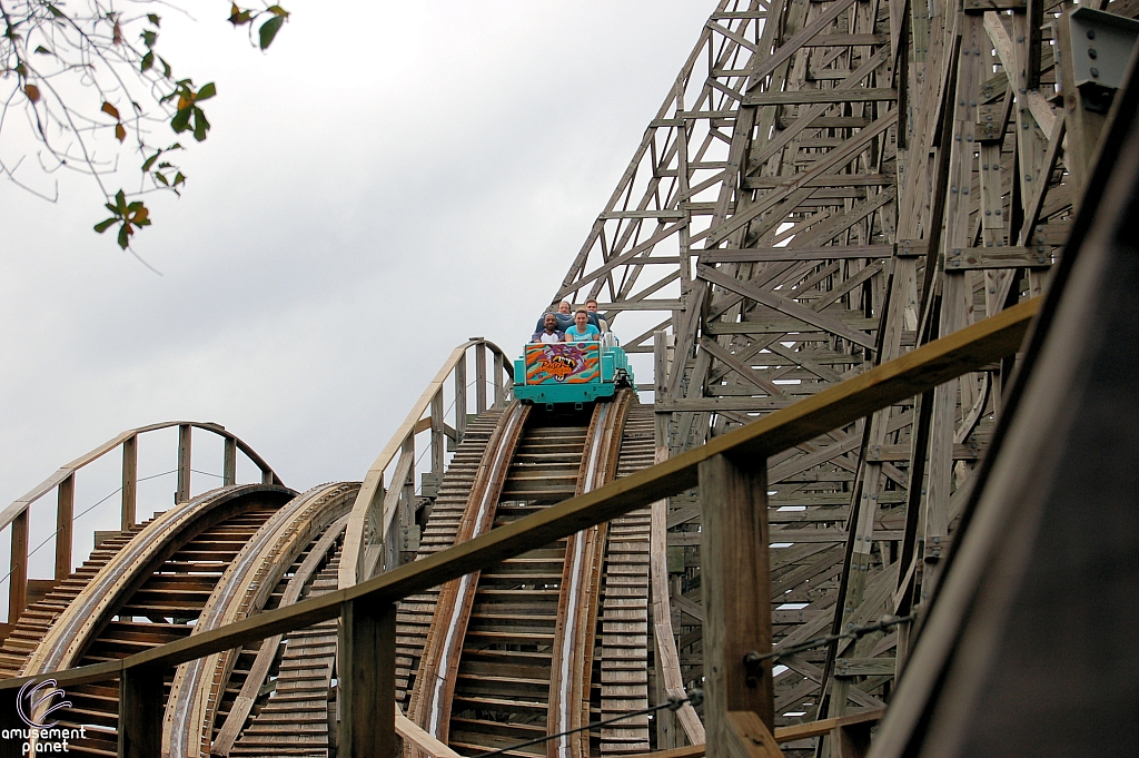 Gwazi