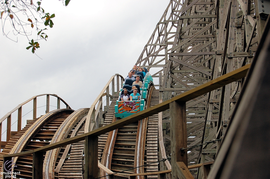 Gwazi