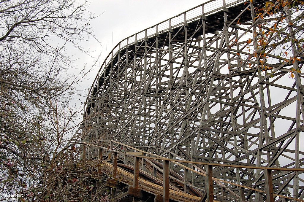 Gwazi