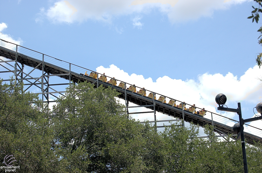 Gwazi