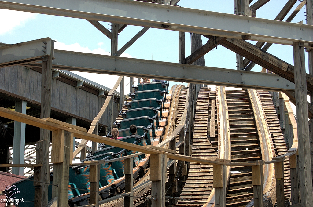 Gwazi