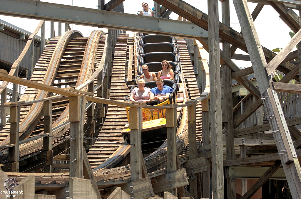 Gwazi