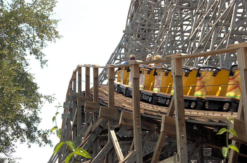 Gwazi