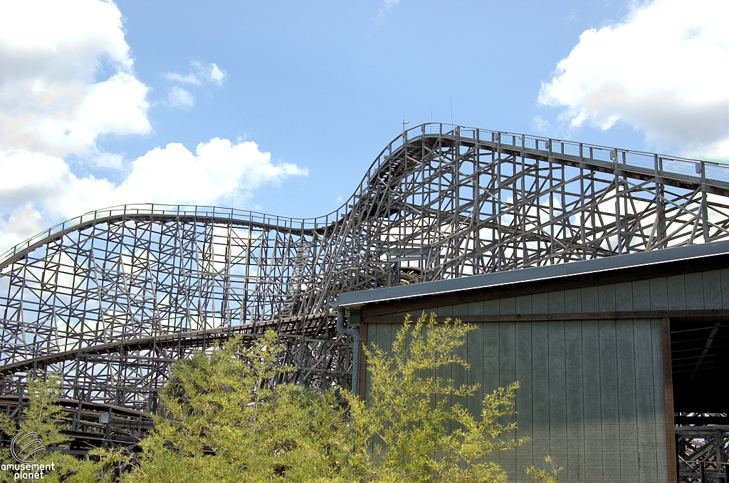 Gwazi