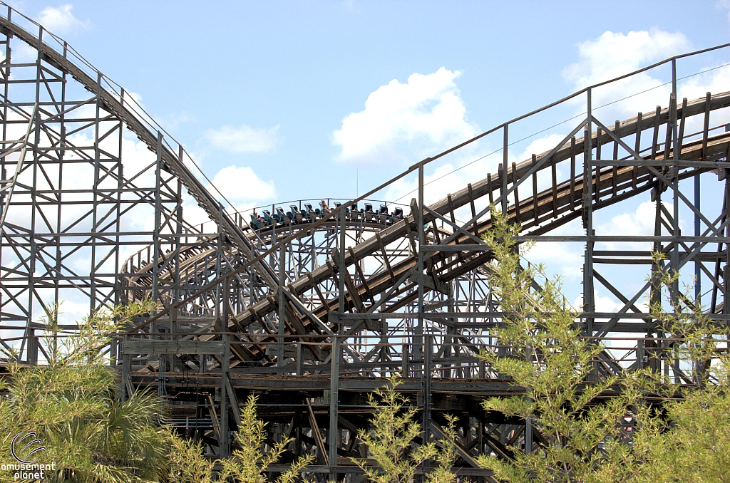 Gwazi