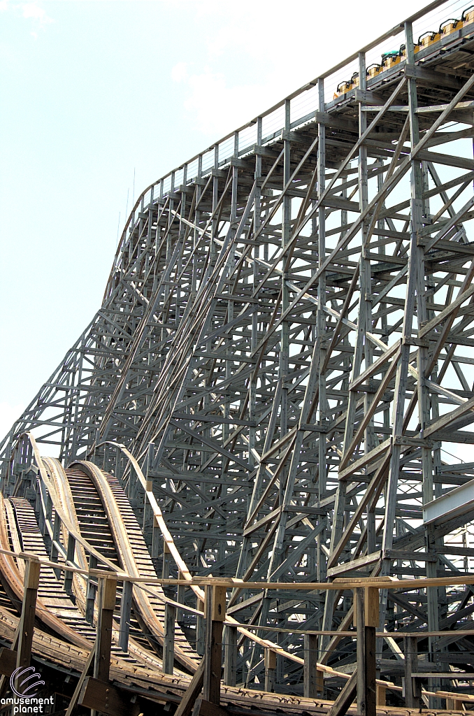 Gwazi