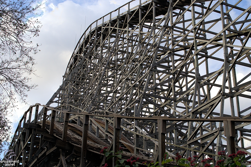 Gwazi