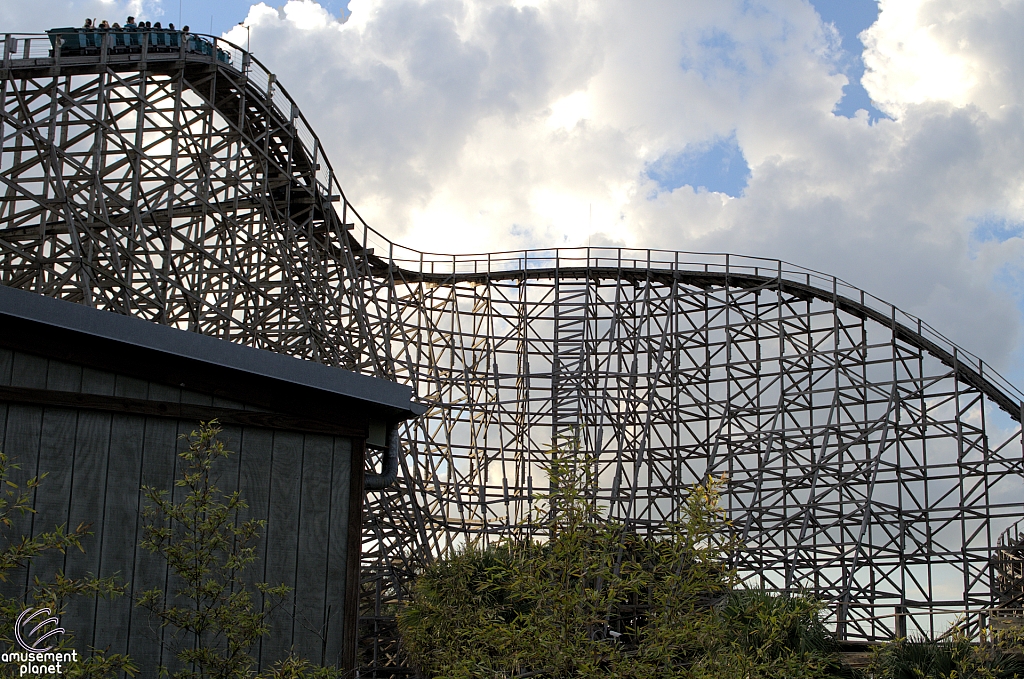 Gwazi