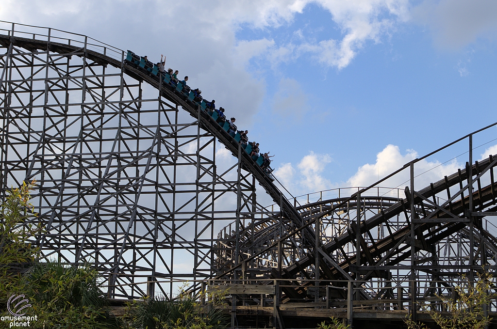 Gwazi