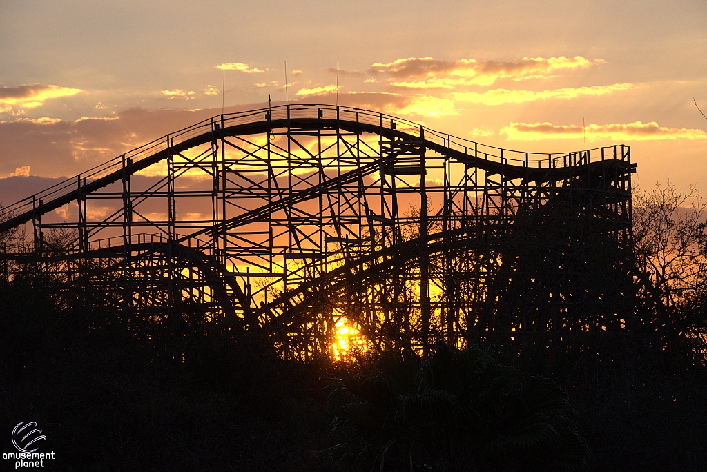 Gwazi