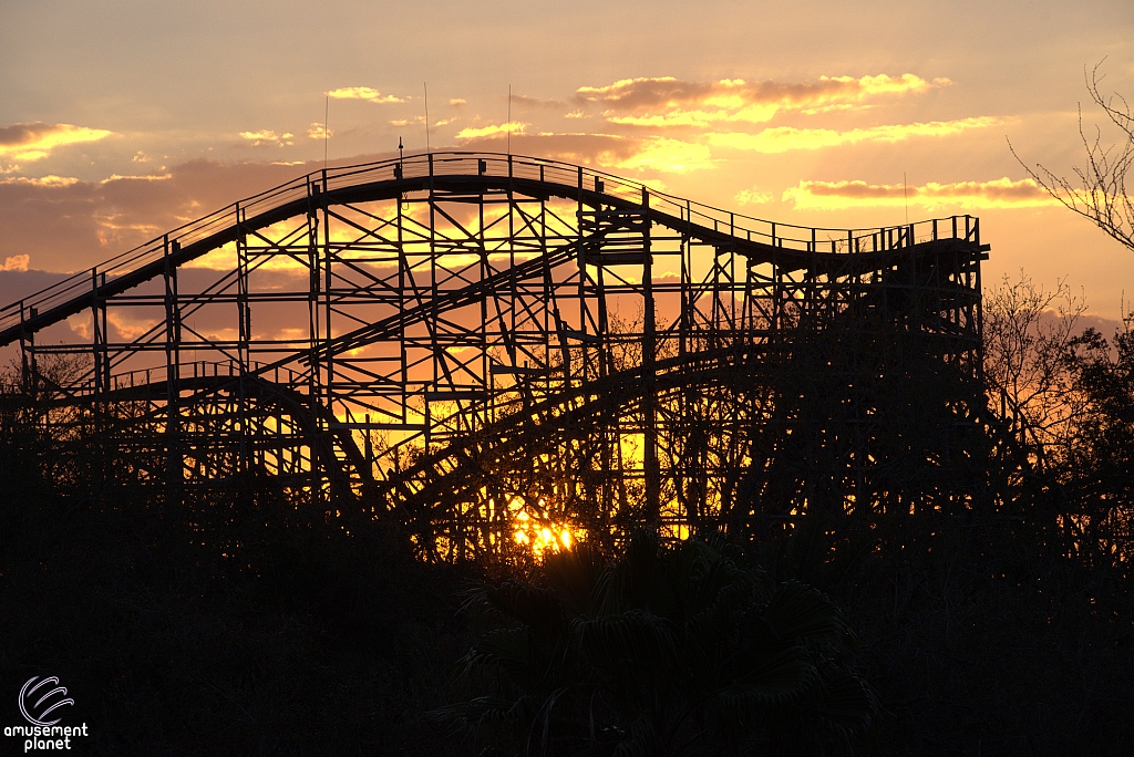 Gwazi