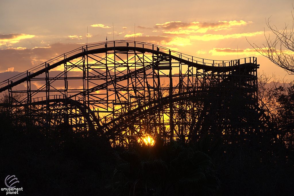 Gwazi