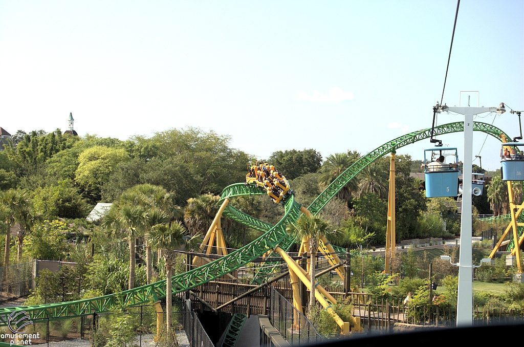 Cheetah Hunt