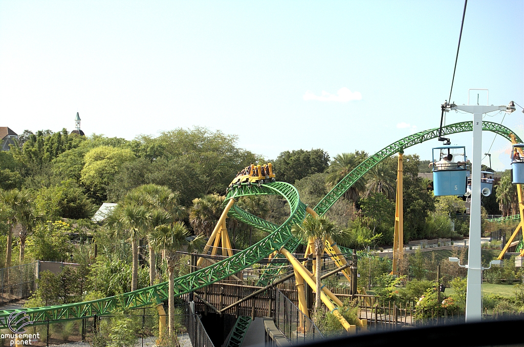 Cheetah Hunt