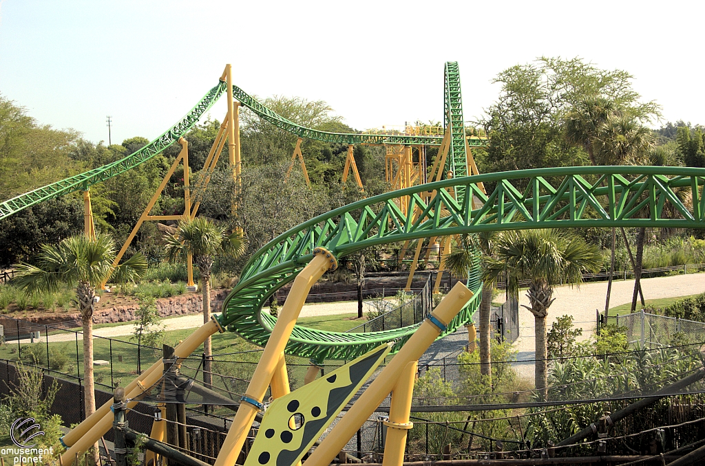 Cheetah Hunt