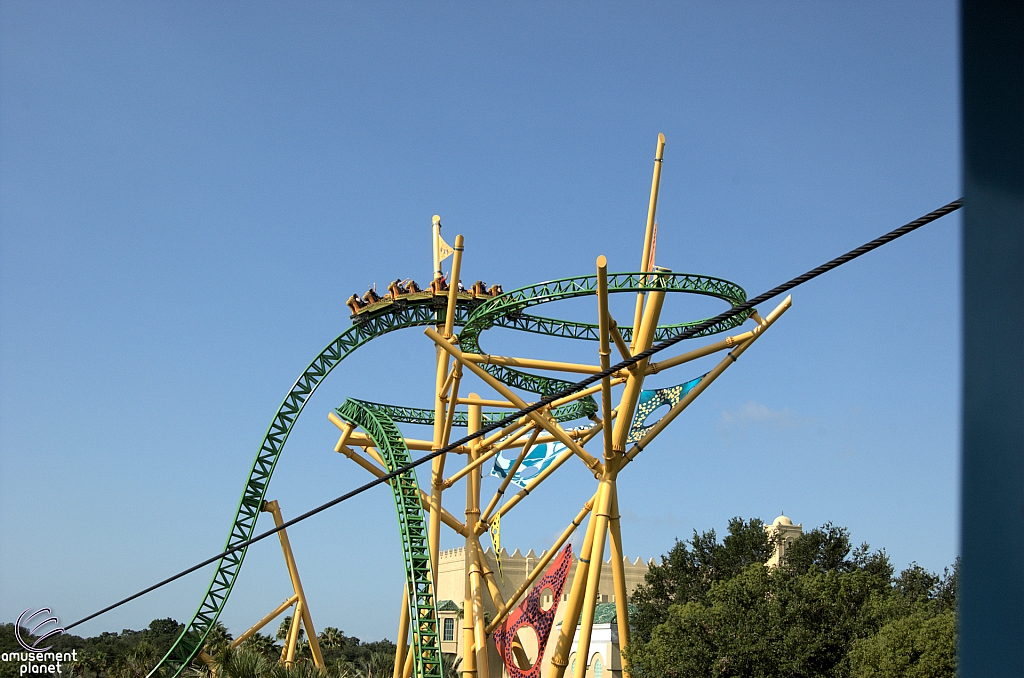 Cheetah Hunt