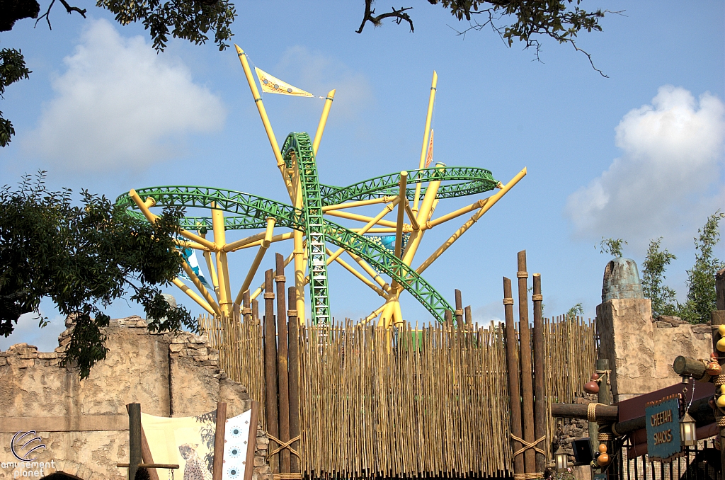 Cheetah Hunt