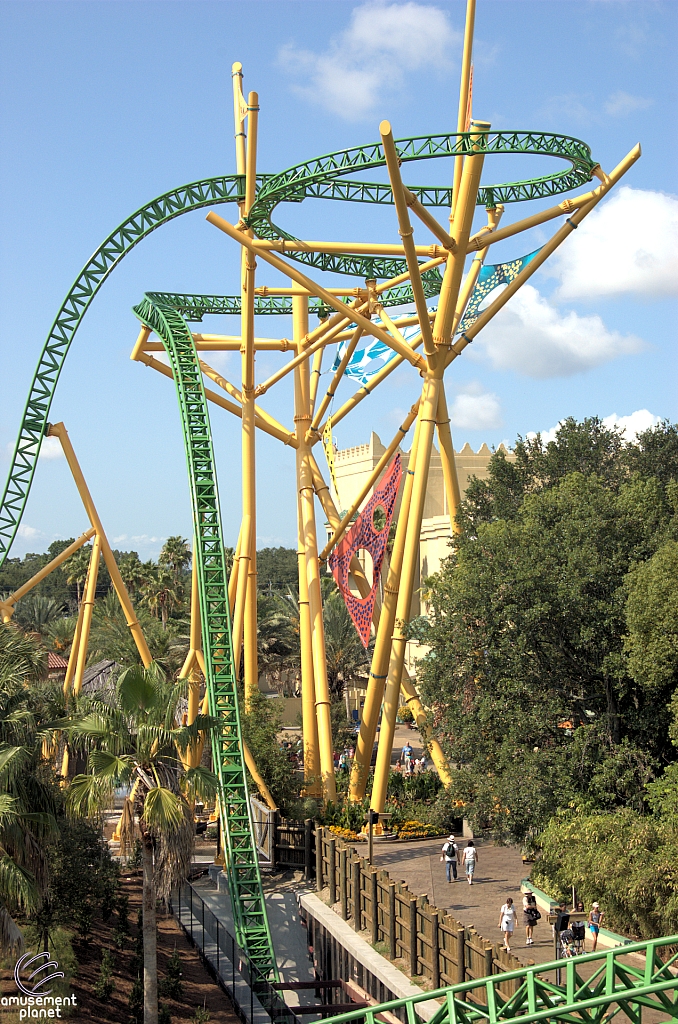 Cheetah Hunt