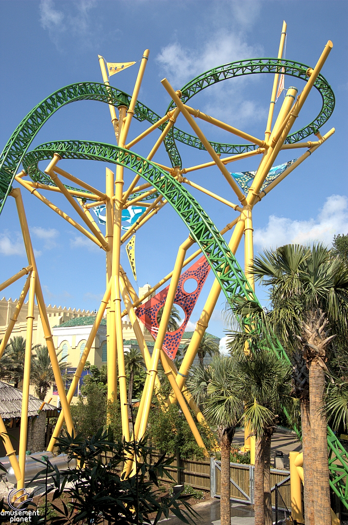 Cheetah Hunt