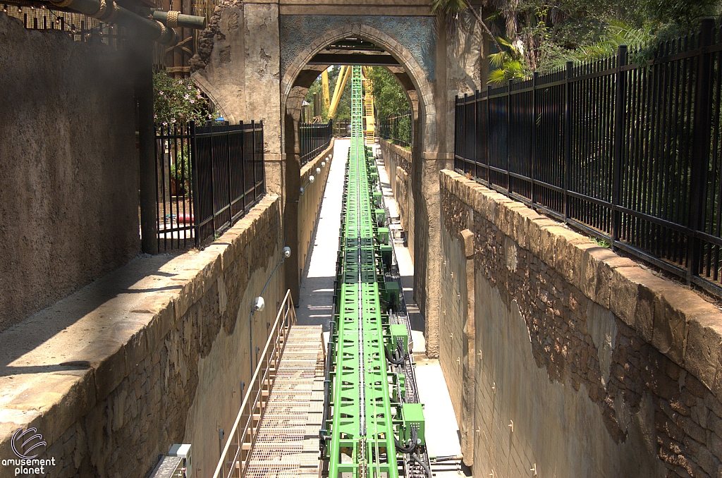 Cheetah Hunt