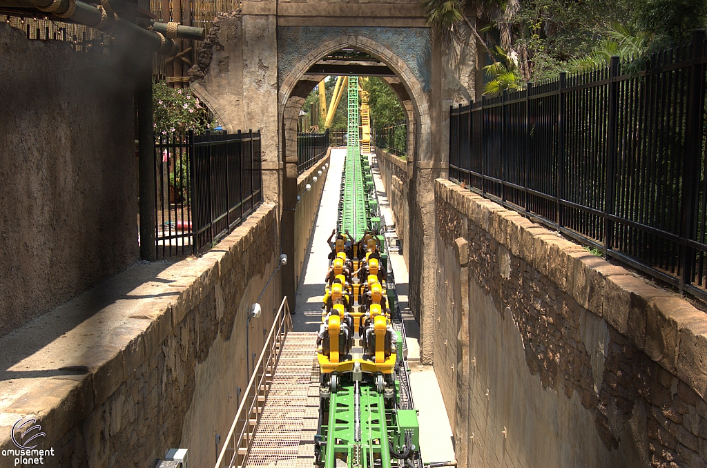 Cheetah Hunt