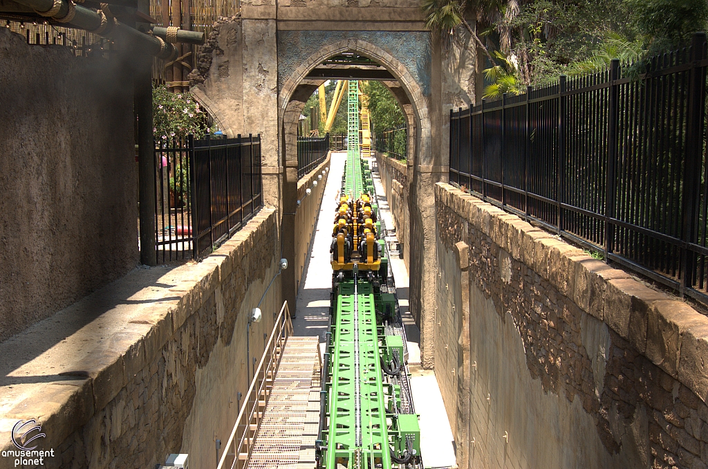 Cheetah Hunt