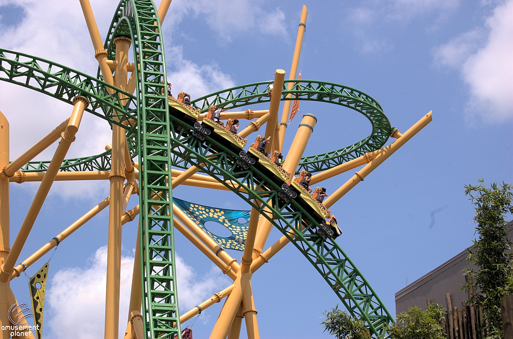 Cheetah Hunt