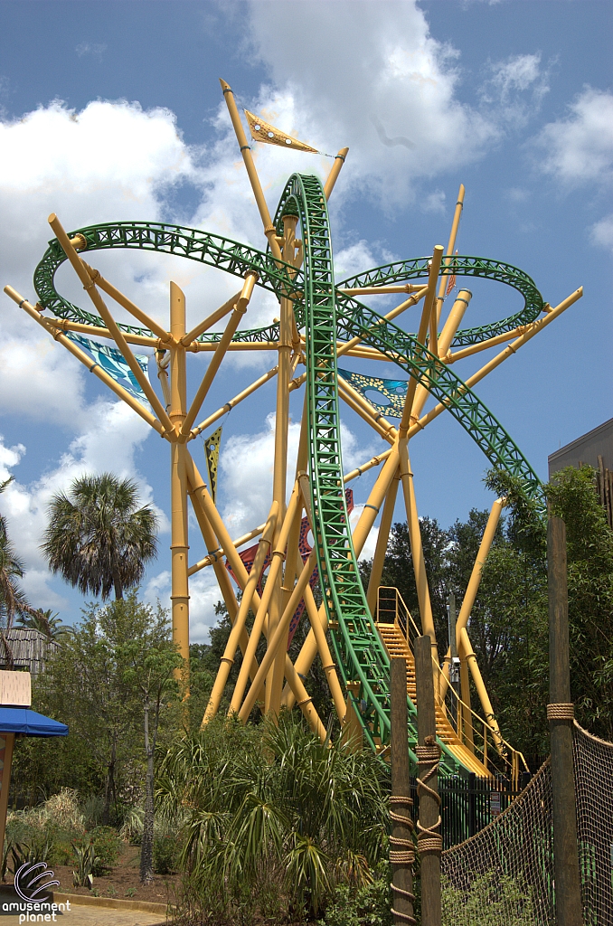 Cheetah Hunt