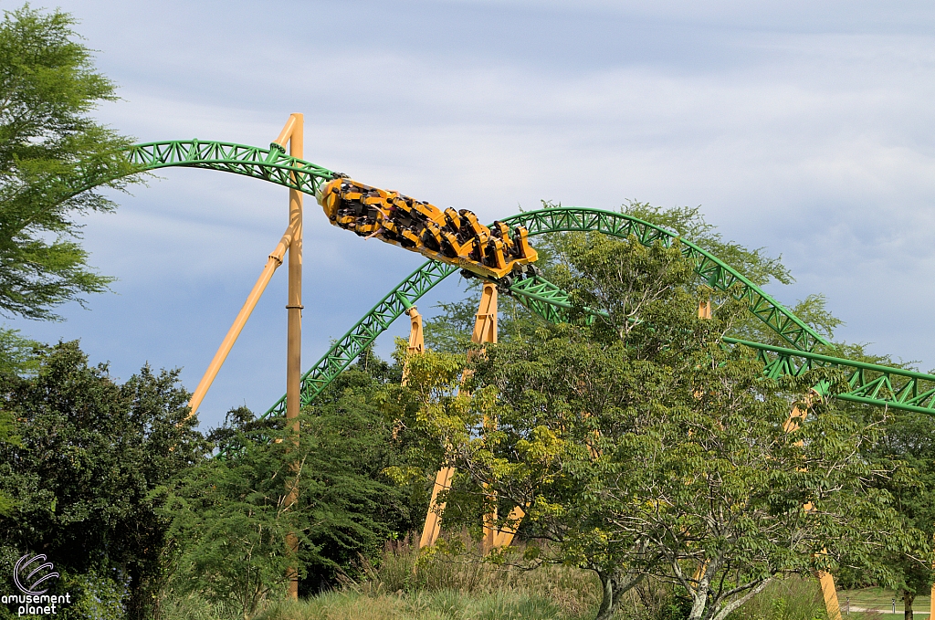 Cheetah Hunt