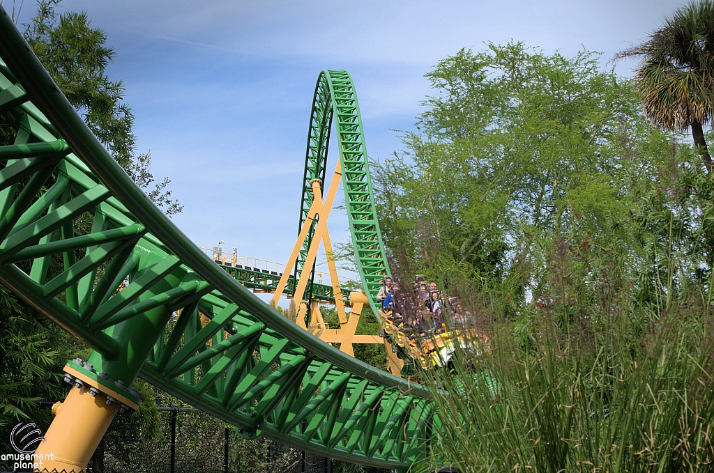 Cheetah Hunt