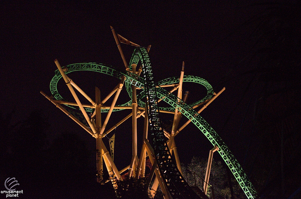 Cheetah Hunt