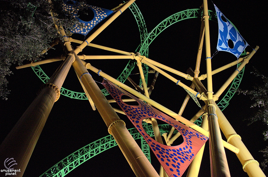 Cheetah Hunt
