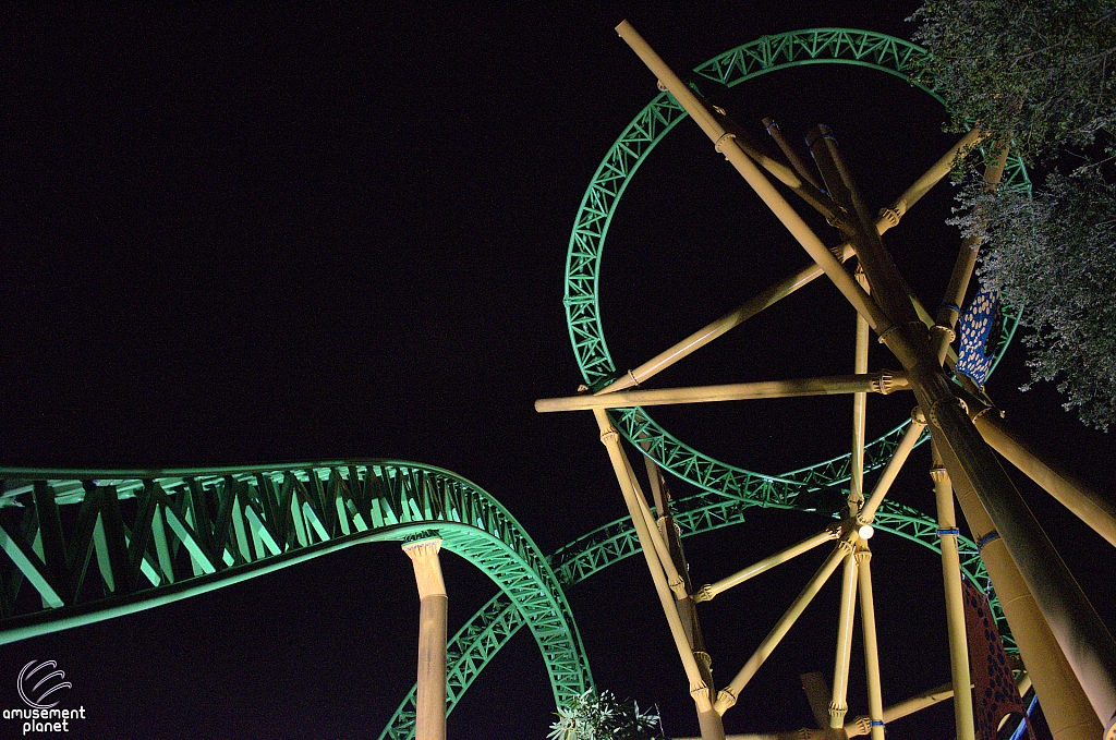 Cheetah Hunt