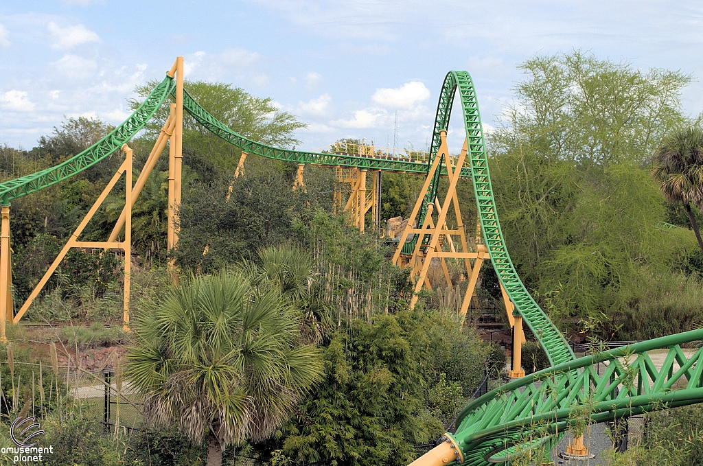 Cheetah Hunt