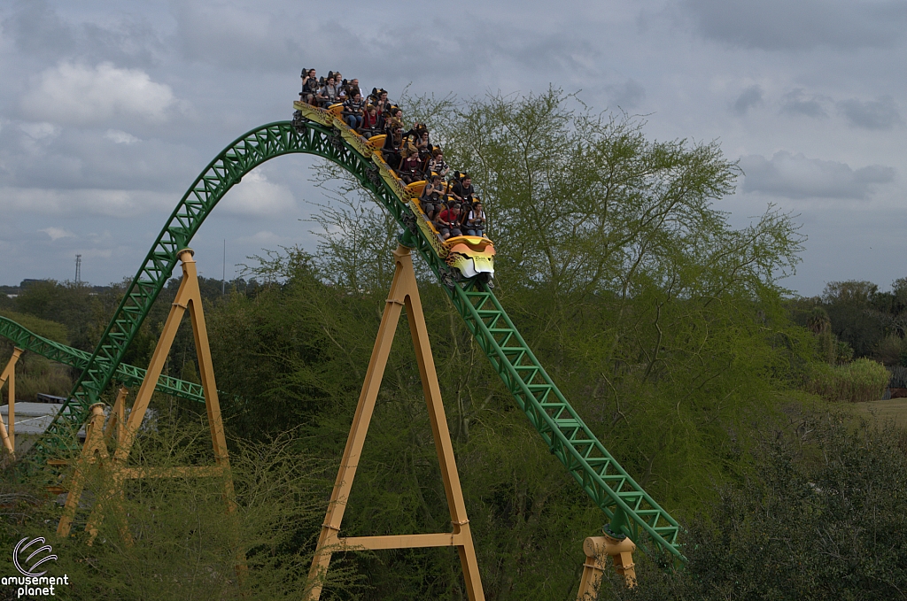 Cheetah Hunt