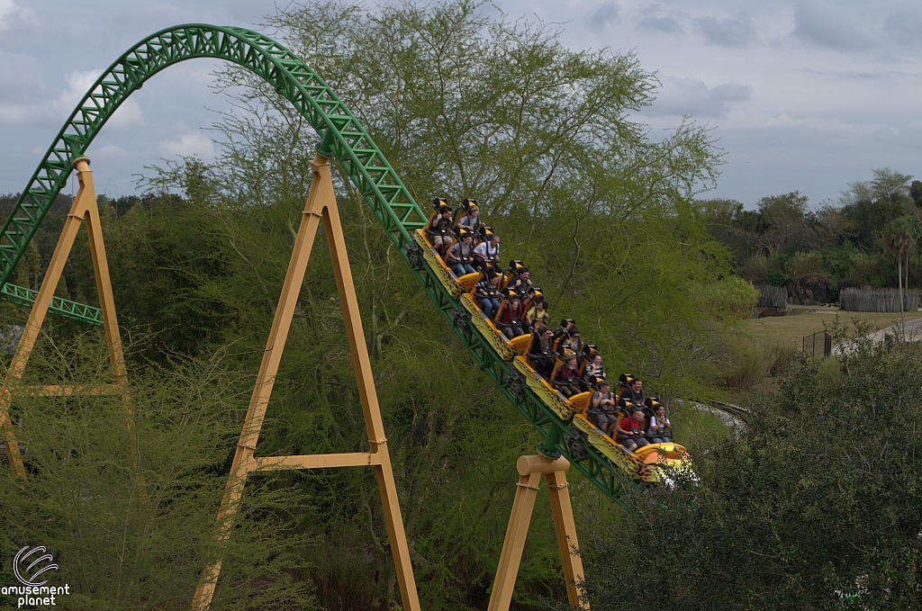 Cheetah Hunt