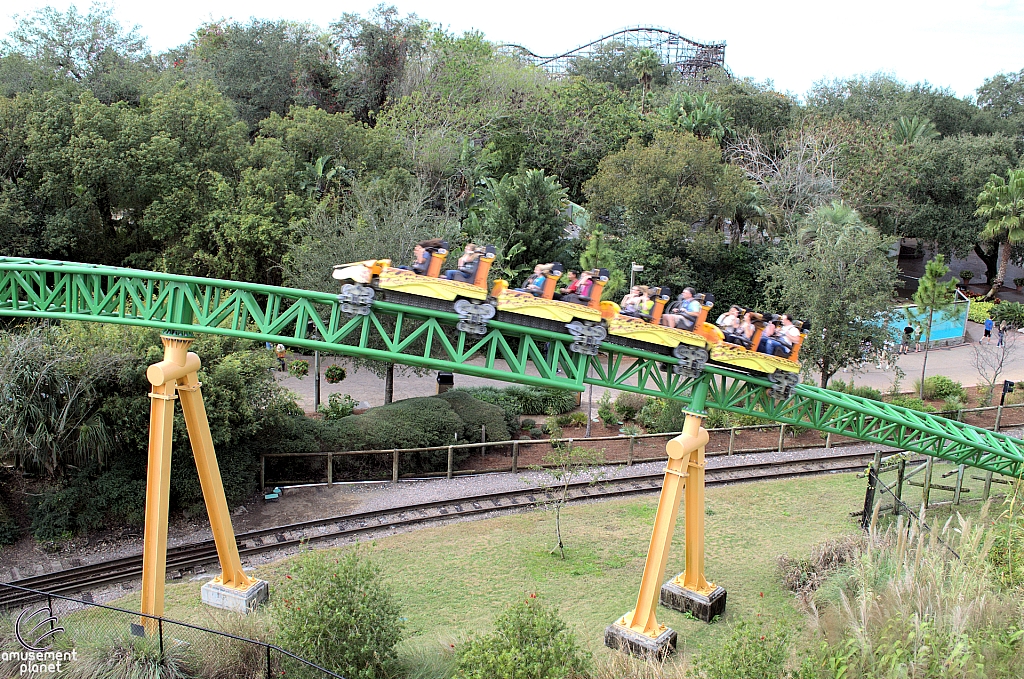 Cheetah Hunt