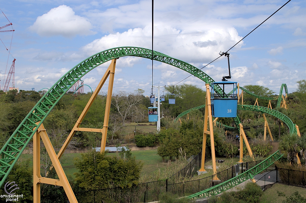 Cheetah Hunt