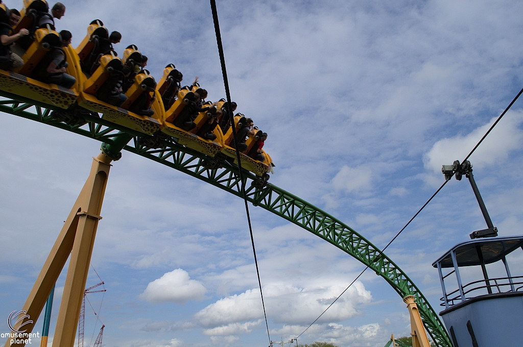 Cheetah Hunt