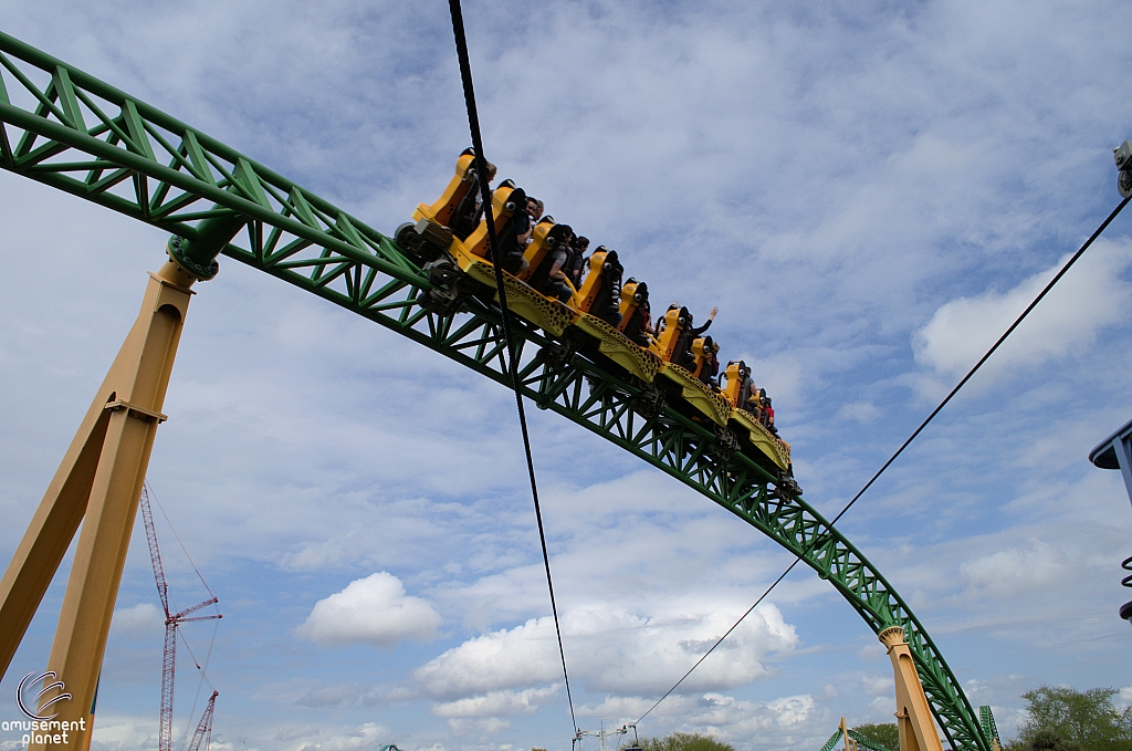 Cheetah Hunt