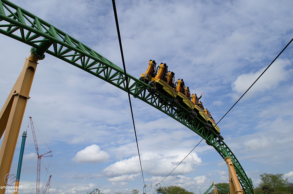 Cheetah Hunt