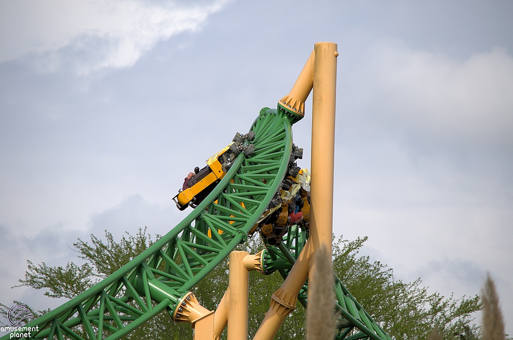 Cheetah Hunt