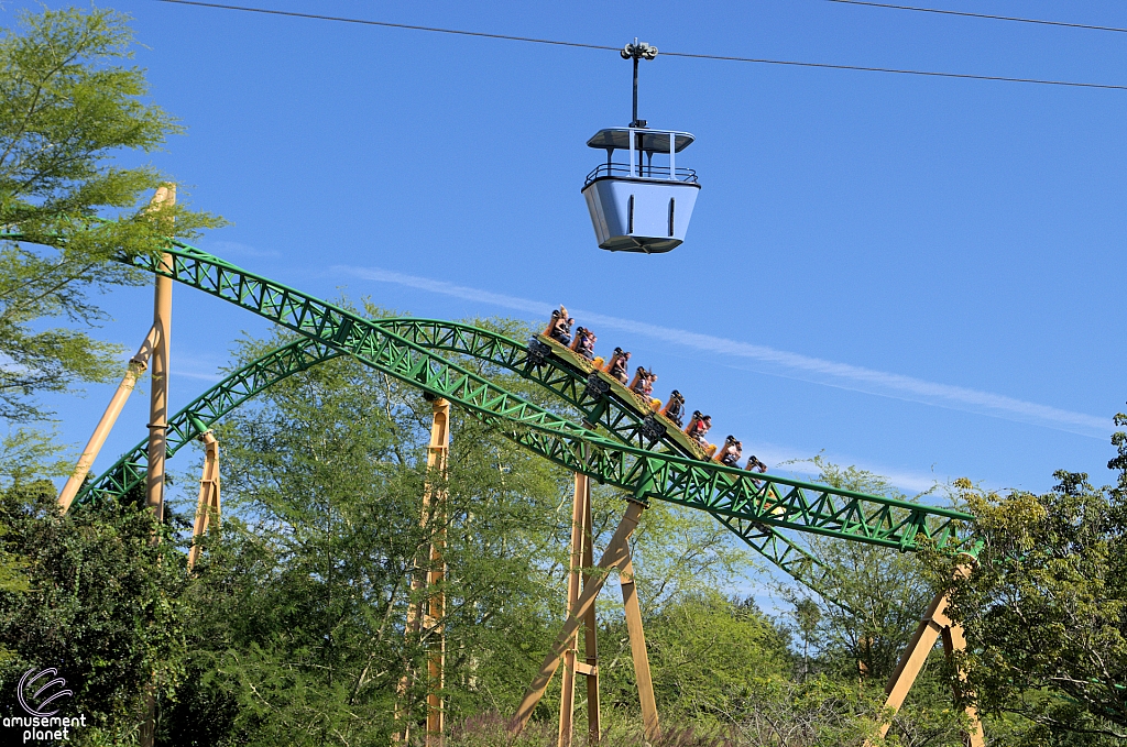 Cheetah Hunt