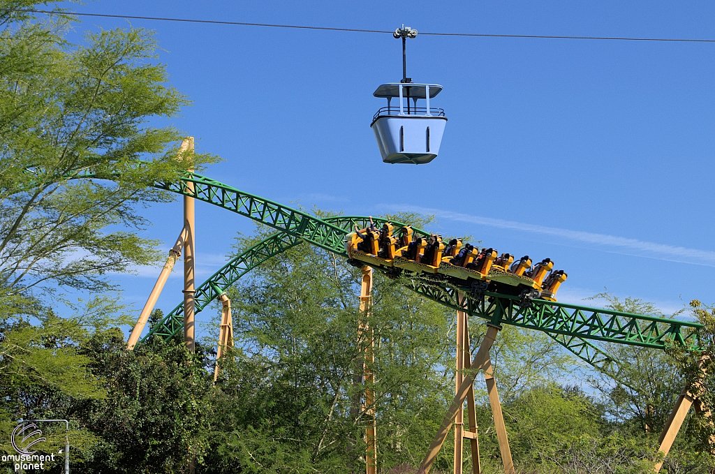 Cheetah Hunt