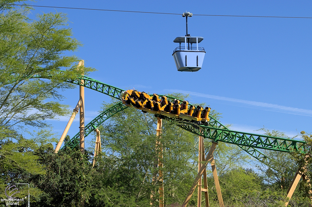 Cheetah Hunt