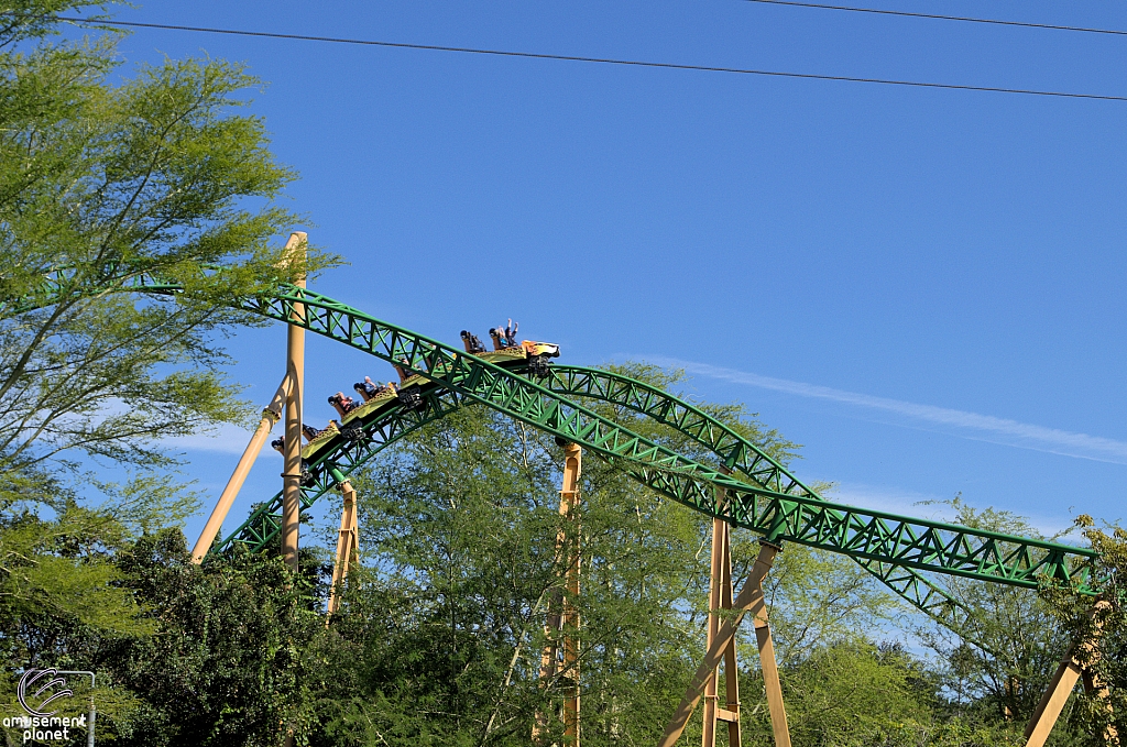 Cheetah Hunt