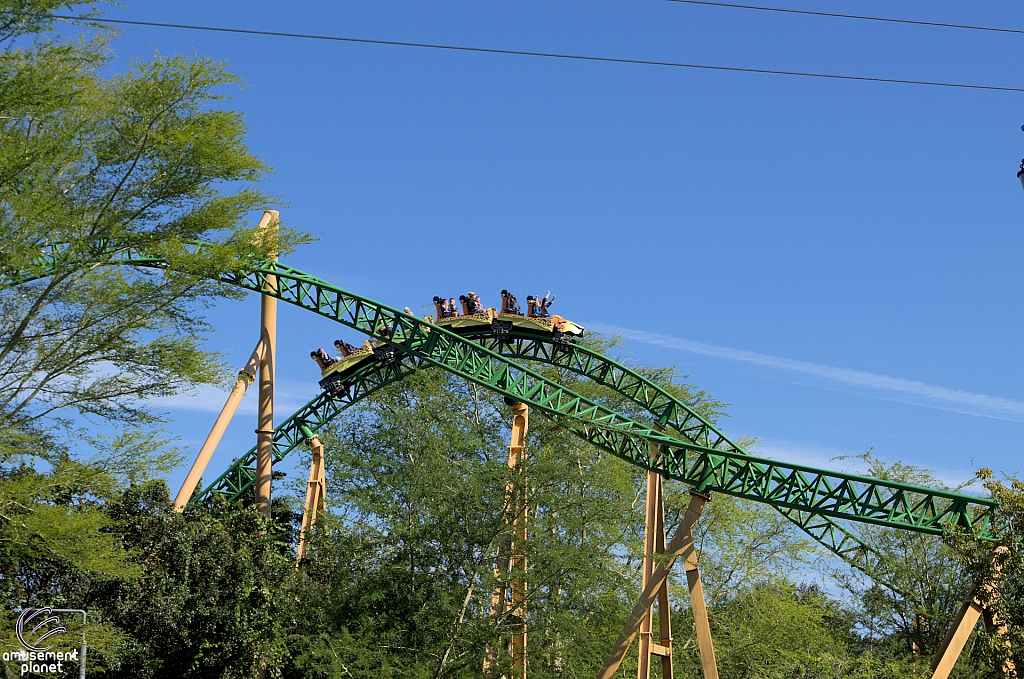 Cheetah Hunt